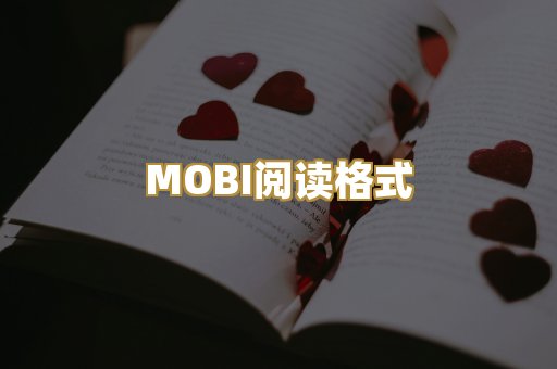 MOBI阅读格式
